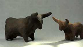 Nubian bulls