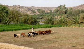 Sudan